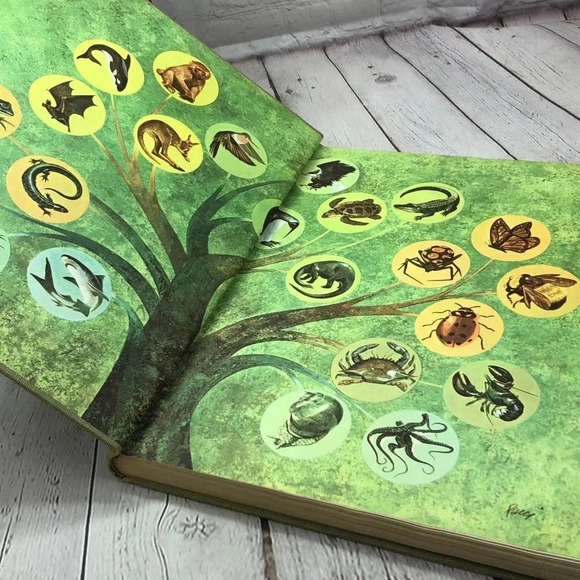 vintage 1964 reader's digest marvels & mysteries of our animal world book - Picture 6 of 12